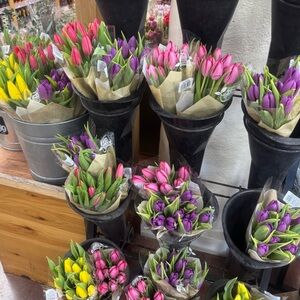 Meet your Posher, Hazel